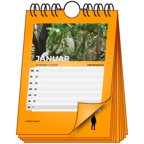 Wochenkalender drucken lassen